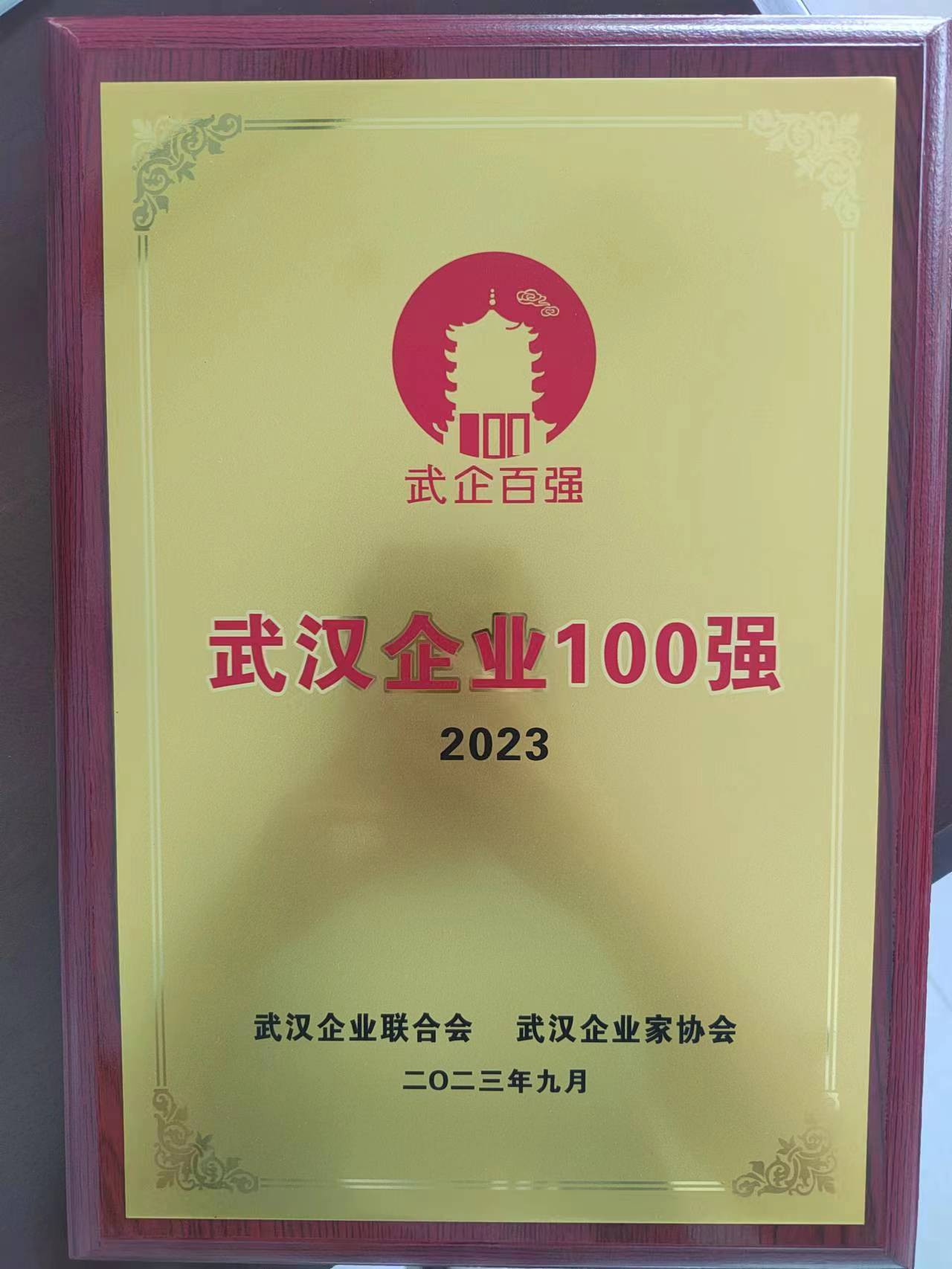 2023武汉企业100强